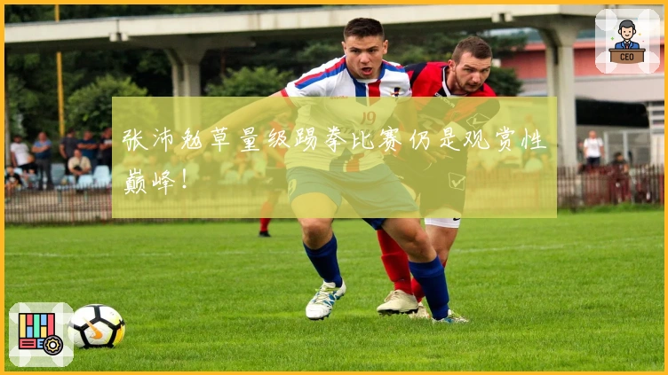 张沛勉草量级踢拳比赛仍是观赏性巅峰！