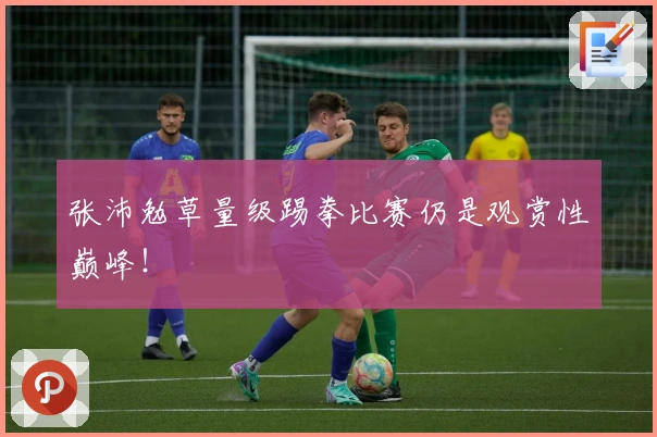 张沛勉草量级踢拳比赛仍是观赏性巅峰！