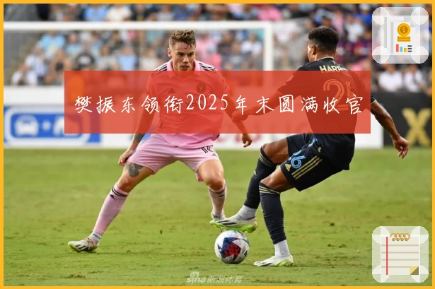 樊振东领衔2025年末圆满收官