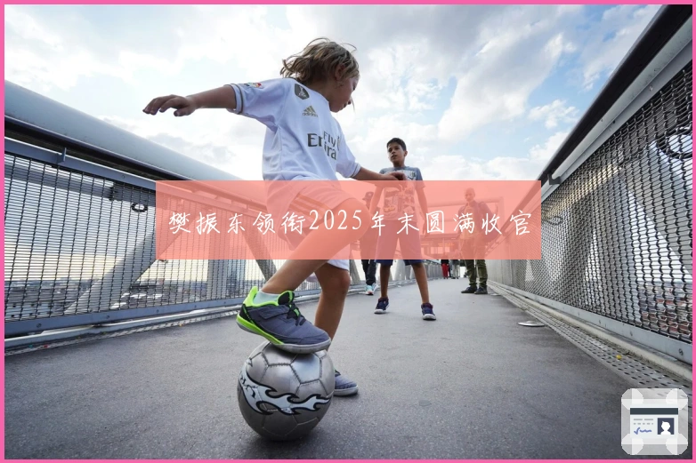 樊振东领衔2025年末圆满收官