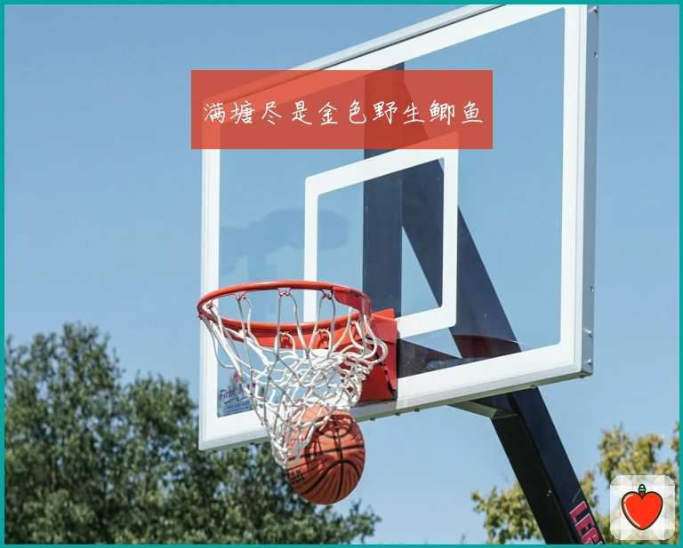 满塘尽是金色野生鲫鱼