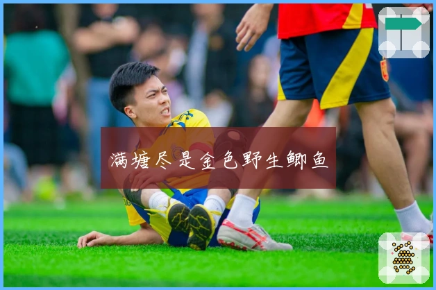 满塘尽是金色野生鲫鱼